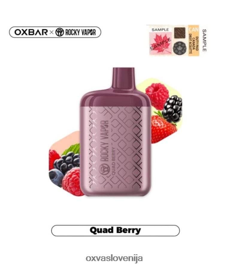 OXVA OXBAR 4500 Oxva Slovenija quad berry P0NH31